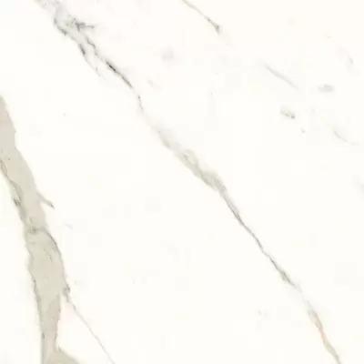 Panaria Trilogy PGWTY05 Calacatta White Soft/Rect 60x60
