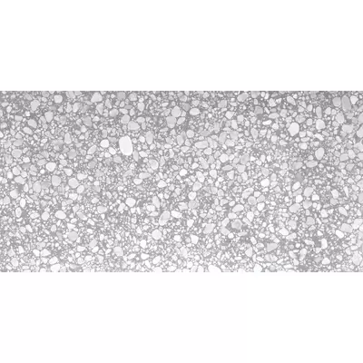 Casalgrande Padana Macro 11460496 Grigio Lucido 60x120