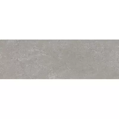 Panaria Prime Stone PZ7PM20 Silver Prime 100x300