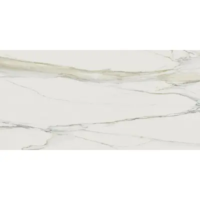 Stone Calacatta SF.IC.CLG.MT BOOK B 160x320