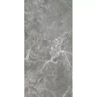 Ricchetti Marble Boutique 0541855 Fior Bosco Lux 59.4x119
