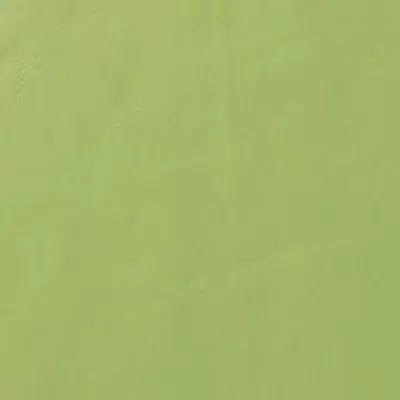 Casalgrande Padana Architecture 3990012 Acid Green Naturale 10.50 90x90