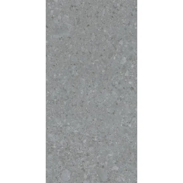 Lasselsberger (LB-Ceramics) Иней Техно 6493-0201 Темно-серый 60x120 - керамическая плитка и керамогранит