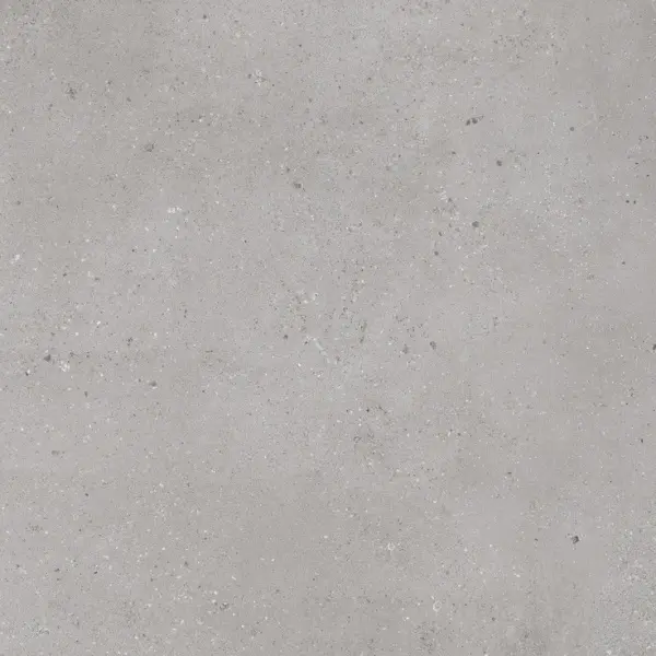 Гранитея Alatau / Алатау ГР403 Серый Матовый 60x60 - керамическая плитка и керамогранит