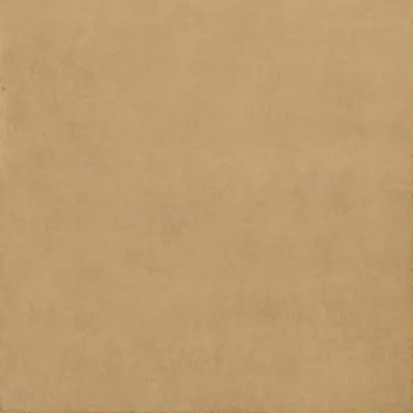 Ariostea Balance IGP66578 Ochre Natural Plus 60x60