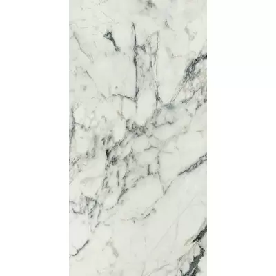 Rex Ceramiche Les Bijoux de Rex 766329 Calac Altissimo Matte Ret 60x120