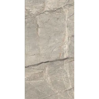 Caesar Anima Futura AGB2 Amazing Silver Matt 60x120