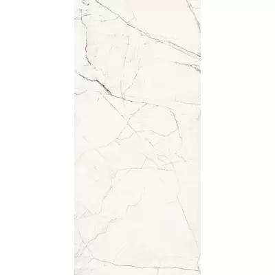 Imola ceramica The Room 166853 STA VP6 260 LP 120x260