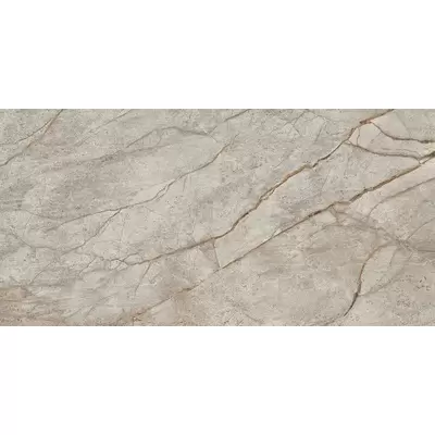 Atlas Concorde Russia Empire 610015000618 Silver Root Rett Lapp 60x120