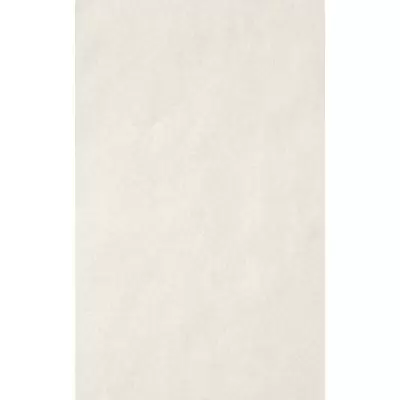 Casalgrande Padana Architecture 4045752 White Antibacterial 45x90