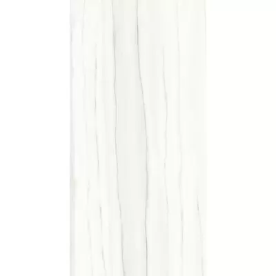 Ariostea Marmi Classici Zebrino Bianco Soft 60x120