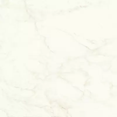 Atlas Concorde Marvel Shine A4Q4 Calacatta Delicato Matt 120x120