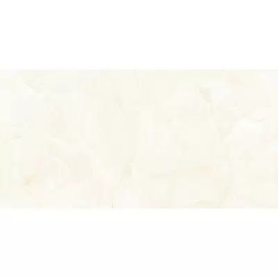 Absolut Gres Prado AB 1010G Onix Gloss 60x120