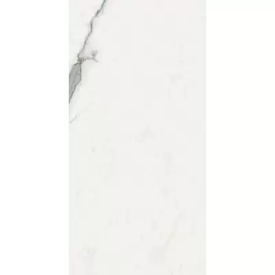 Del Conca Boutique Hbo20 Shine 60x120
