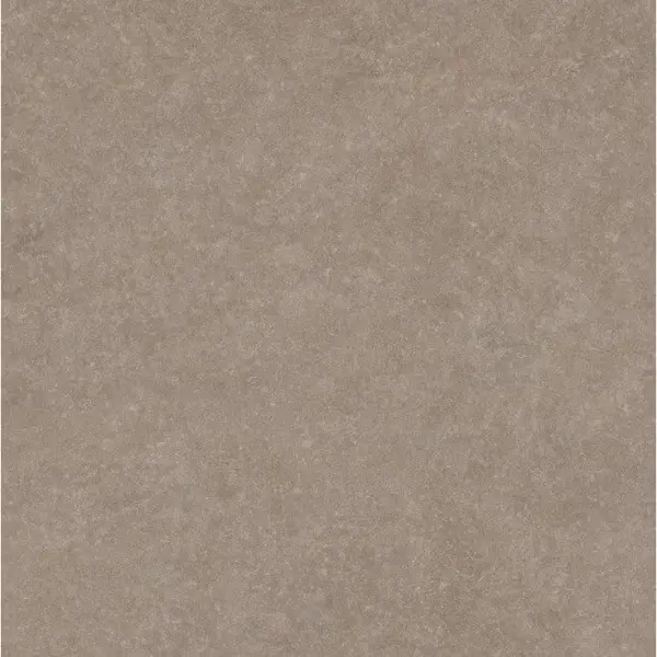 Argenta Light Stone Taupe RC 60 60x60 - керамическая плитка и керамогранит