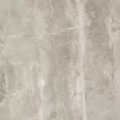 Leopard Rock Gris 60x60