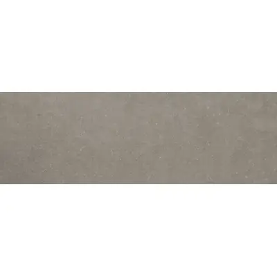Stone The Room Argerot Cement 100x300