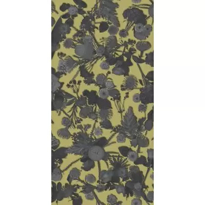 Sodai Bloom 7000132 Essenza Yellow B 3.5 mm 50x100