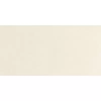 Panaria Experience PG9EX05 Bianco Denso 50x100