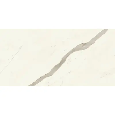 Atlas Concorde Marvel X AFWJ Calacatta Sublime Matt 60x120