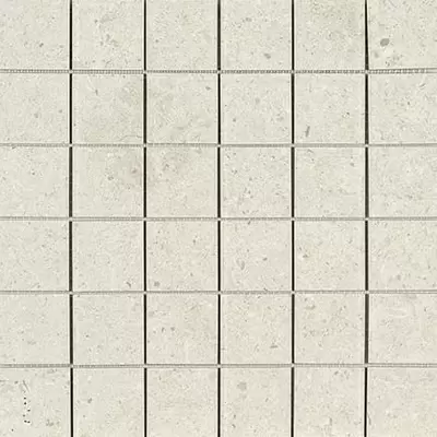 Apavisa Nanoconcept 8431940292231 White Natural Mosaic 5x5 29.75x29.75