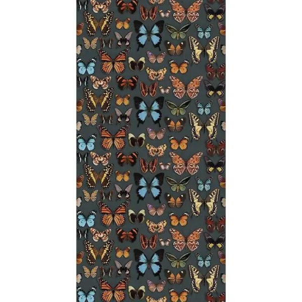 ABK Wide & Style 0007381 Papillon 160x320