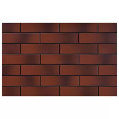 Cerrad Rot С оттенком 6.5x24.5