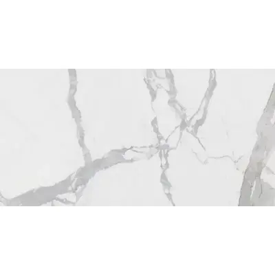Rak Ceramics Calacatta Extra White Face 2 PL 6mm 120x260
