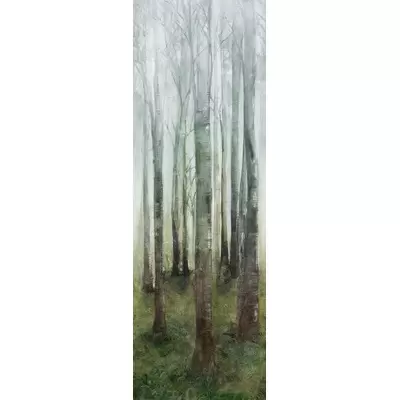 Cotto D’Este Wonderwall Dream A 100x300