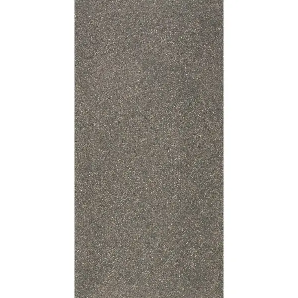 Ariostea Accademia Full Body P612651 Tiziano Natural Plus 60x120