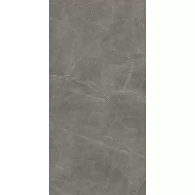 Atlas Concorde Plan AAWA Grey Stone Silk - 12mm ST 162x324