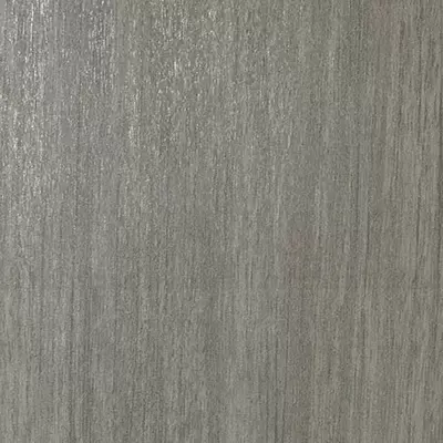 Casalgrande Padana Metalwood 7950095 Argento Naturale 60x60