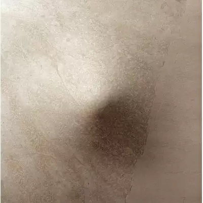 Apavisa Evolution 8431940225536 Beige Natural Bump 59.4x59.4