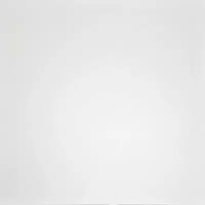 Grasaro Domino G-100/MR/600x600x10 White 60x60