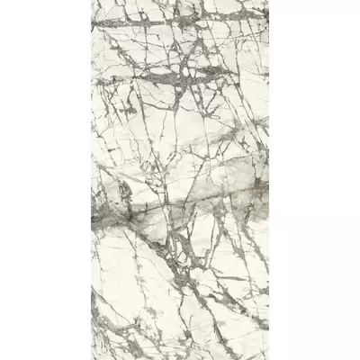 Ariostea Ultra Marmi Imperial Grey Luc Shiny 300 150x300
