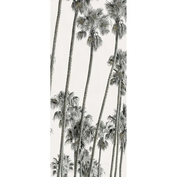 ABK Wide & Style 0009394 Hollywood C 120x280