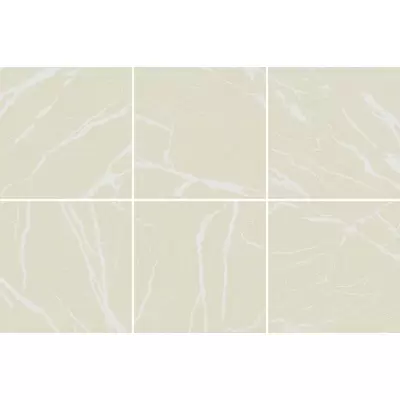 Ornamenta Artwork AR6060MI Marble Ivory 60x60