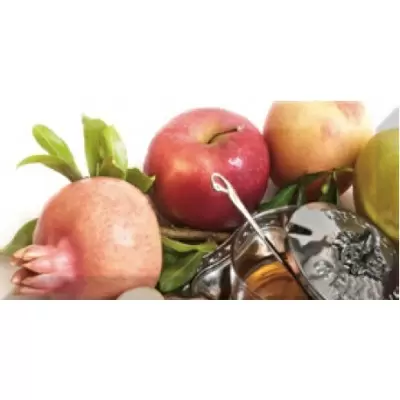 Absolut Keramika Honey Honey 2 10x20