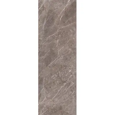 Kale Marbles Savana Dark 100x300