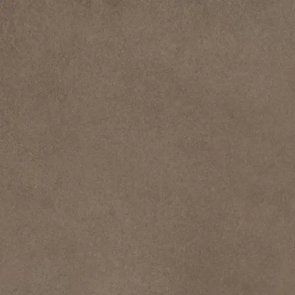 Cerim Ceramiche Easy Life 781058 Mushroom Matte Ret 120x120