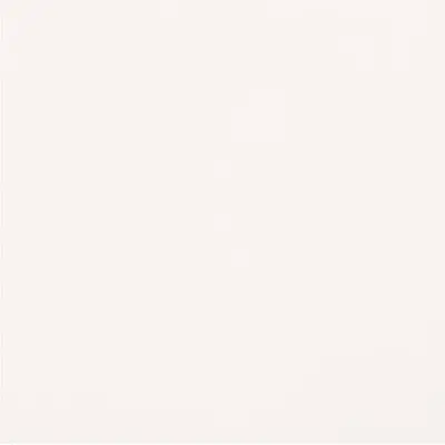 Casalgrande Padana Unicolore Technic Bianco Assoluto Levigato 8,5mm 40x40
