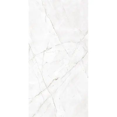Arcadia Ceramica Valencia CR4007-A Silver Grey Carving 60x120