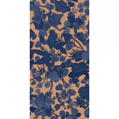 Sodai Bloom 7000141 Specchio Blue A 6 mm 60x120
