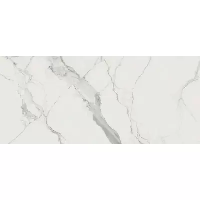 Rex Ceramiche I Classici Di Rex 746602 Statuario 6mm Glossy 60x120