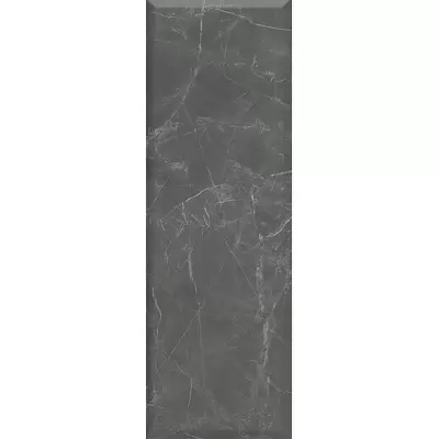 Kerama Marazzi Буонарроти 13108R Серый темный грань обрезной 30x89.5