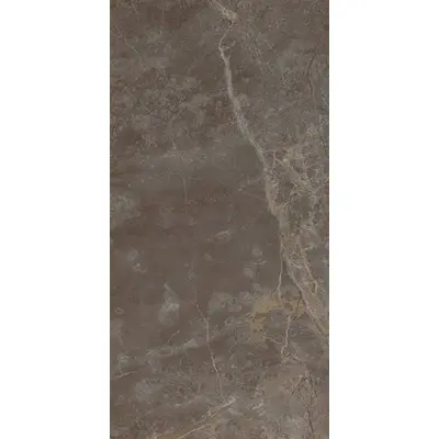 Fap Ceramiche Roma Stone fQXB Pietra Brown Matt R9 60x120