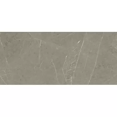 Kerranova Skala K-2202/LR Grey 60x120
