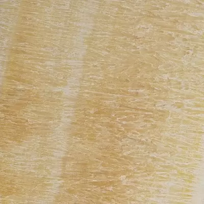 Versace Marble 240012 Oro Onice Lap. 58.5x58.5
