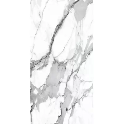 Alpas Euro Premium Marble Visage Grey Plus Pol 60x120