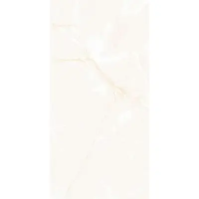 Leopard Onyx 6001 Blanco Polished 60x120